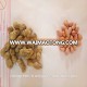 Java peanuts Best quality