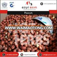 Bulk Selling Raw Peanuts at Wholesale Prices