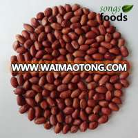 Brokers for Four Red Skin Peanut Kernels