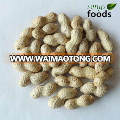 Brokers for peanut in Waimaotong