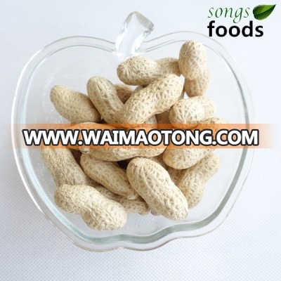 Organic Peanuts Inshell For Peanut Butter Importer