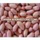 high quality unprocessing peanut seeds for sale