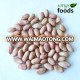 New Crop Edible Organic Peanut Kernel With High Quality