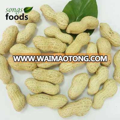 Good Quality Organic Peanut With Market Price