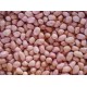 Vietnam High Quality peanuts with best price