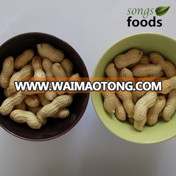 Shangdong Wholesale Peanut Inshell With High Quality