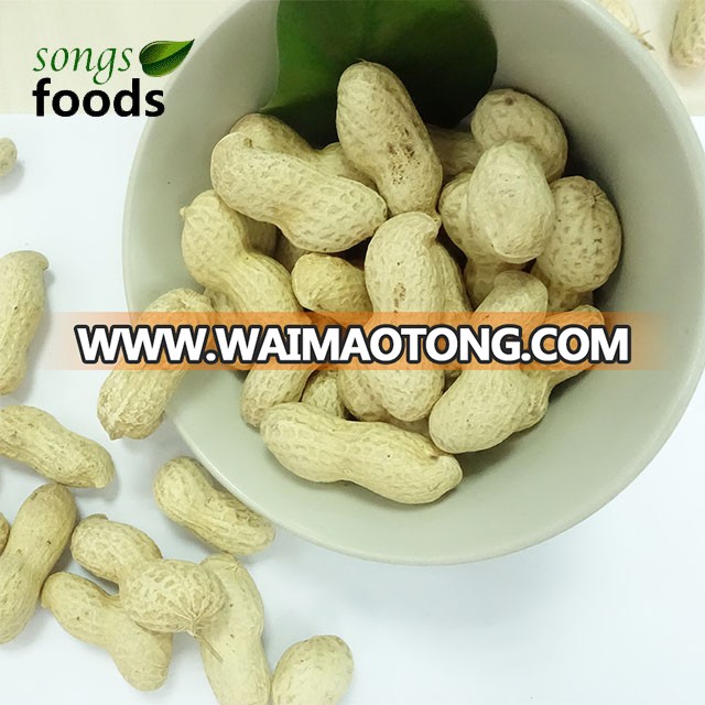 China Wholesale Peanuts In Shell 9/11 Market Price