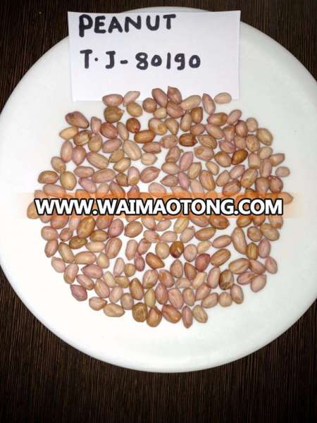 Indian pure Peanut TJ 80-90 Quality